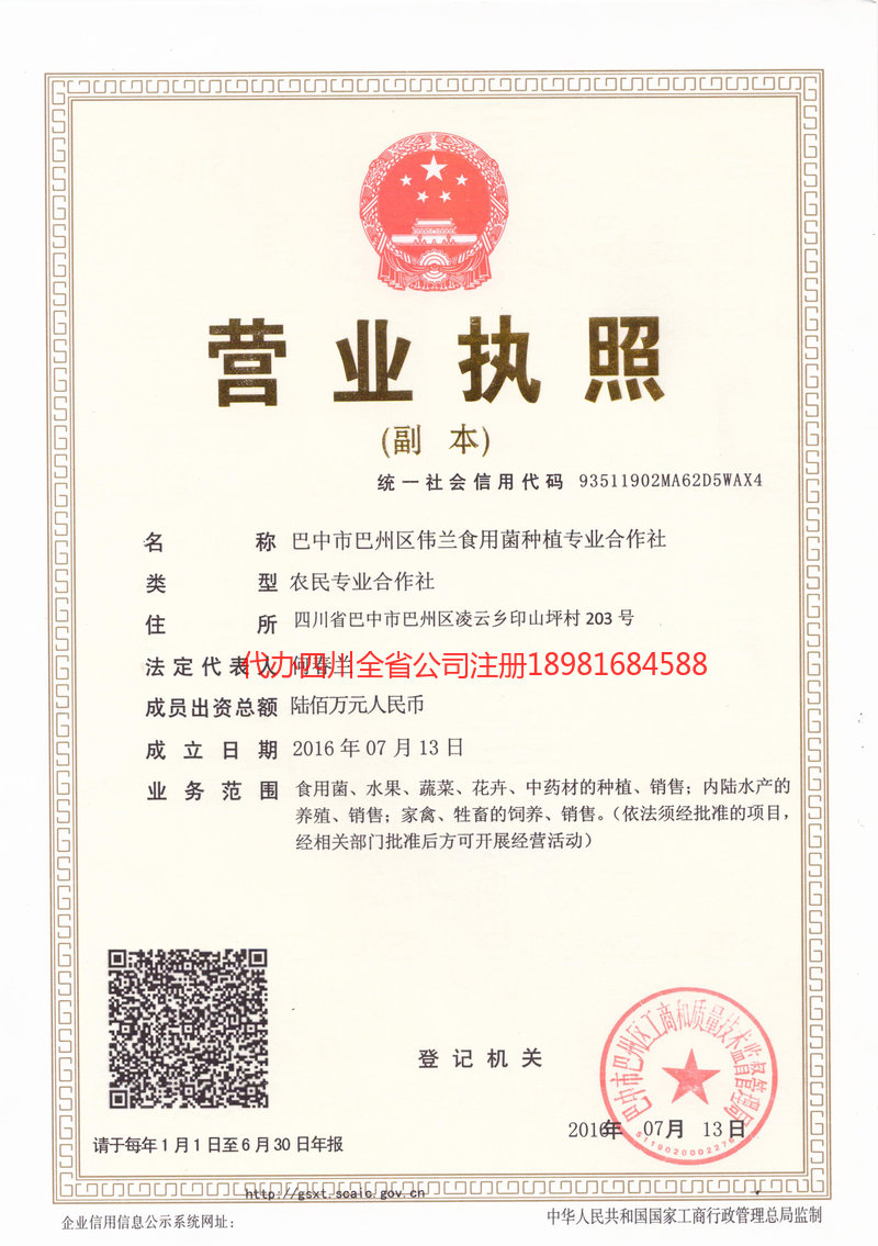 名山名山伟兰食用菌种植专业合作社