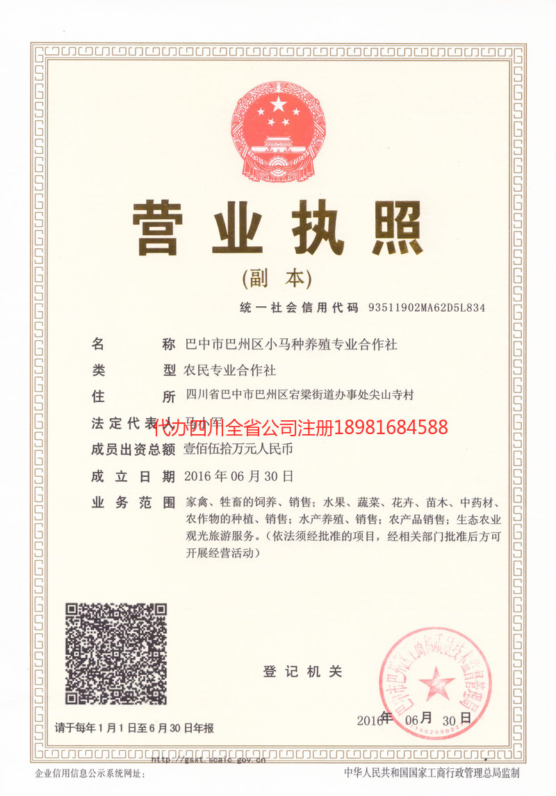 名山名山小马种养殖专业合作社